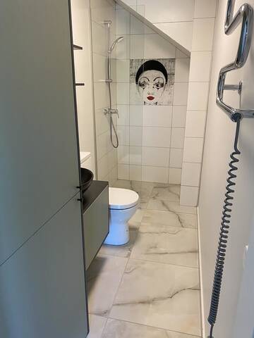 Фото номера Апартаменты с 1 спальней Апартаменты Vaivorykštės apartamentai г. Паланга 17