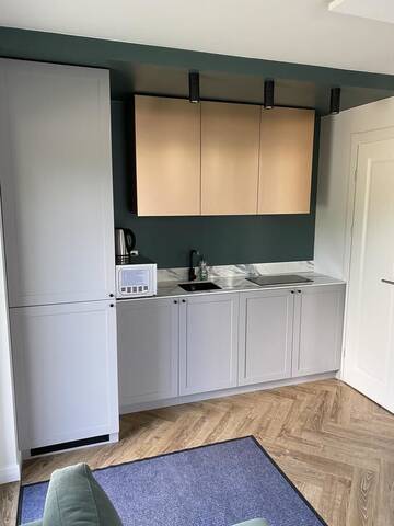 Фото номера Апартаменты с 1 спальней Апартаменты Vaivorykštės apartamentai г. Паланга 9