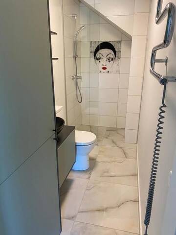 Фото номера Апартаменты с 1 спальней Апартаменты Vaivorykštės apartamentai г. Паланга 37