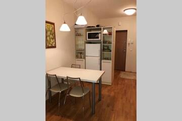 Фото номера Апартаменты с 1 спальней Апартаменты Vanagupe apartment with balcony and free parking г. Паланга 18
