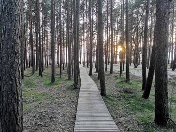 Фото номера Апартаменты с террасой Апартаменты La Mer Palanga г. Паланга 26