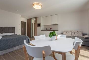 Фото номера Номер-студио Делюкс Апартаменты EGITOS apartamentai г. Паланга 7