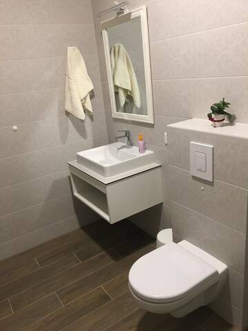 Фото номера Двухуровневый люкс Апарт-отели SKY Villa г. Паланга 3