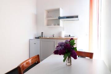 Фото номера Апартаменты с террасой Апартаменты Maironio 23 apartments г. Паланга 6
