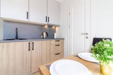 Фото номера Лофт Апартаменты Green Shine Apartment г. Паланга 7