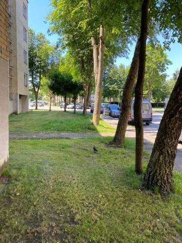 Фото номера Апартаменты с 1 спальней Апартаменты Sodu apartamentai Palangoje г. Паланга 13