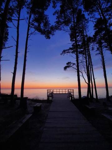 Фото номера Апартаменты с 1 спальней Апартаменты Vanagupė Palanga г. Паланга 28