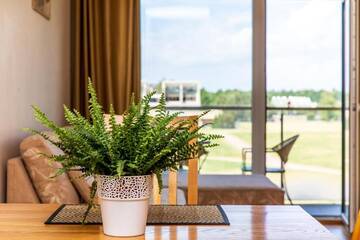 Фото номера Апартаменты с 1 спальней Апартаменты Vanagupė Palanga г. Паланга 37