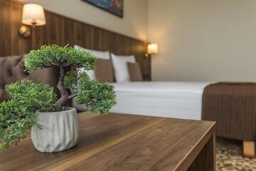 Фото номера Мини-люкс с балконом Отель Gradiali Wellness and SPA г. Паланга 4