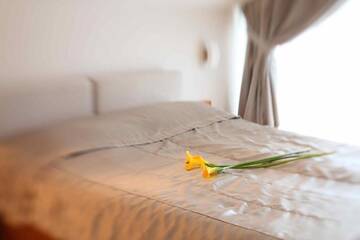 Фото номера Роскошные семейные апартаменты с 1 спальней и балконом Отель Boutique Hotel Smilčių Vilos г. Паланга 12