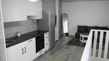 Фото номера Двухуровневые апартаменты Гостевой дом Columba Livia Guesthouse г. Паланга 11