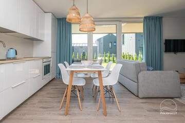 Фото номера Апартаменты - 1-й этаж Апартаменты Žalia kopa apartamentai г. Паланга 27