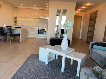 Фото номера Апартаменты с балконом Апартаменты Arunes Apartments - Daukanto г. Паланга 49