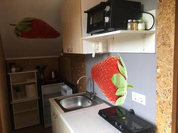 Фото номера Двухместный номер эконом-класса с 1 кроватью Апартаменты Vila Renata Laure г. Паланга 5