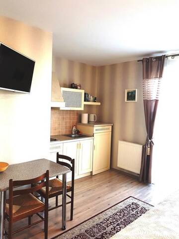 Фото номера Двухместный номер с 1 кроватью Гостевой дом Vila Elvina г. Паланга 3