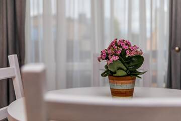 Фото номера Семейный номер Проживание в семье Palangos Vila г. Паланга 3