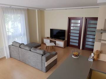 Фото номера Улучшенные апартаменты Апартаменты Arunes Apartments г. Паланга 5