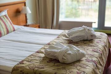 Фото номера Люкс-апартаменты с доступом в спа-центр Отель Meduza Hotel г. Паланга 4