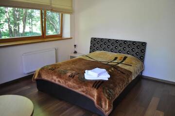 Фото номера Двухместный номер с 1 кроватью Дома для отпуска Holiday Villa Palanga г. Паланга 10