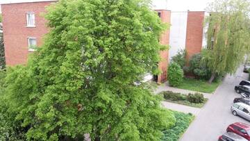 Фото номера Апартаменты с балконом Апартаменты Apartment Amber Sky г. Паланга 13