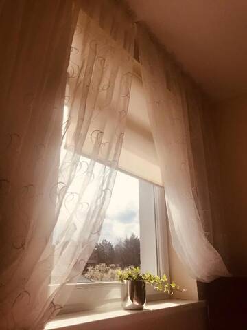 Фото номера Апартаменты с 1 спальней Апартаменты Isabela Apartments г. Паланга 27